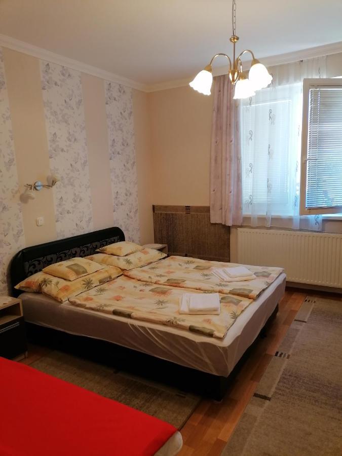 Kaktuszvirag Apartmanhaz Гайдусобосло Екстер'єр фото