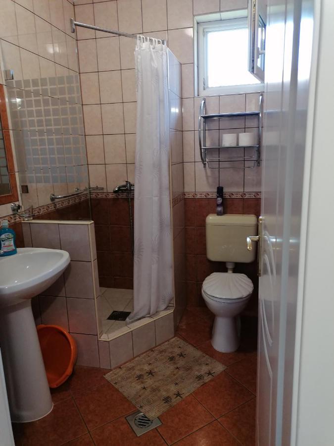 Kaktuszvirag Apartmanhaz Гайдусобосло Екстер'єр фото