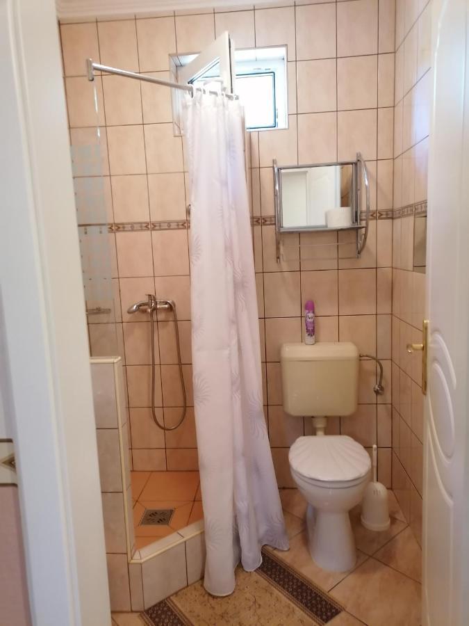 Kaktuszvirag Apartmanhaz Гайдусобосло Екстер'єр фото